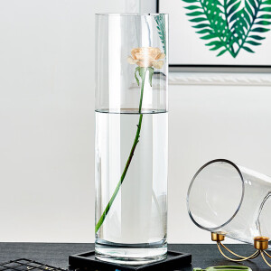 黛莉森 优雅玻璃花瓶